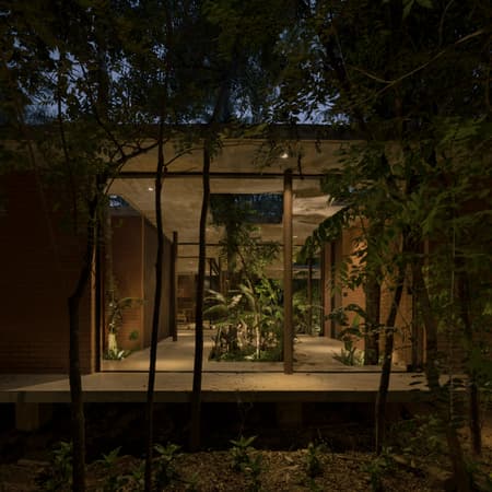 A Forest in the House